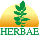 Herbae Consultoria e Projetos Agrcolas